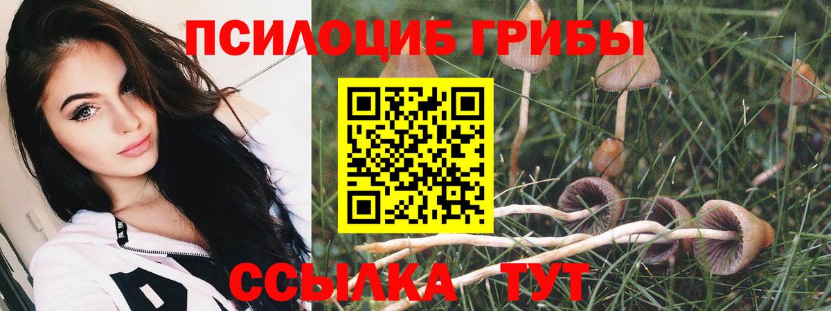 Галлюциногенные грибы GOLDEN TEACHER Кизилюрт
