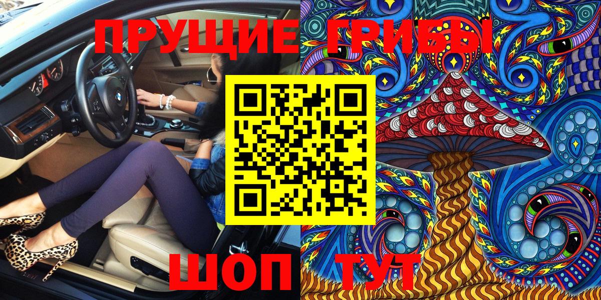 Кизилюрт  Псилоцибиновые грибы Psilocybine cubensis  Вход с VPN 
