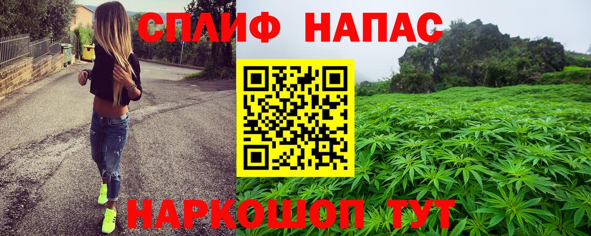 Кизилюрт  Каннабис сатива  Марихуана конопля  Вход с VPN 